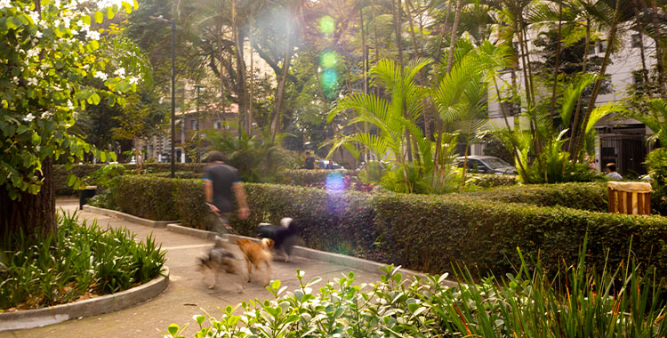 Uma figura mostrando um homem passeando com os cachorros no bairro Vila Nova Conceição