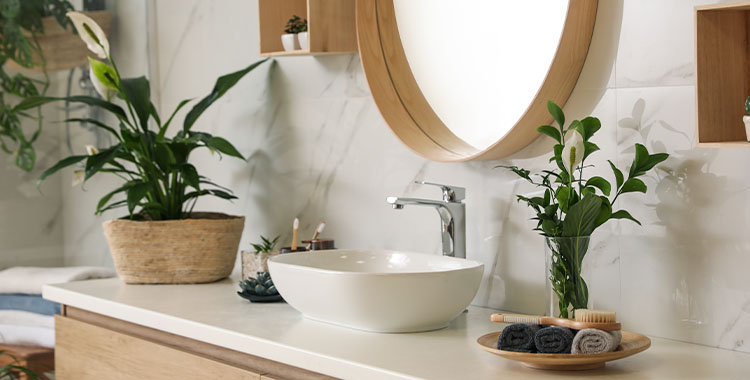 Uma fotografia mostrando Lindas plantas verdes perto da pia do vaso na bancada do banheiro