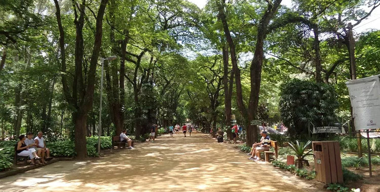 Uma imagem do Parque no bairro Tatuapé em São Paulo