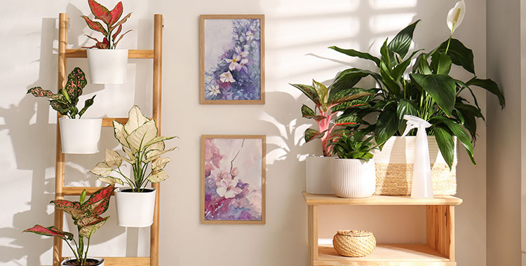 Uma fotografia mostrando Plantas de casa exóticas com belas folhas e escada decorativa perto de parede leve dentro de casa
