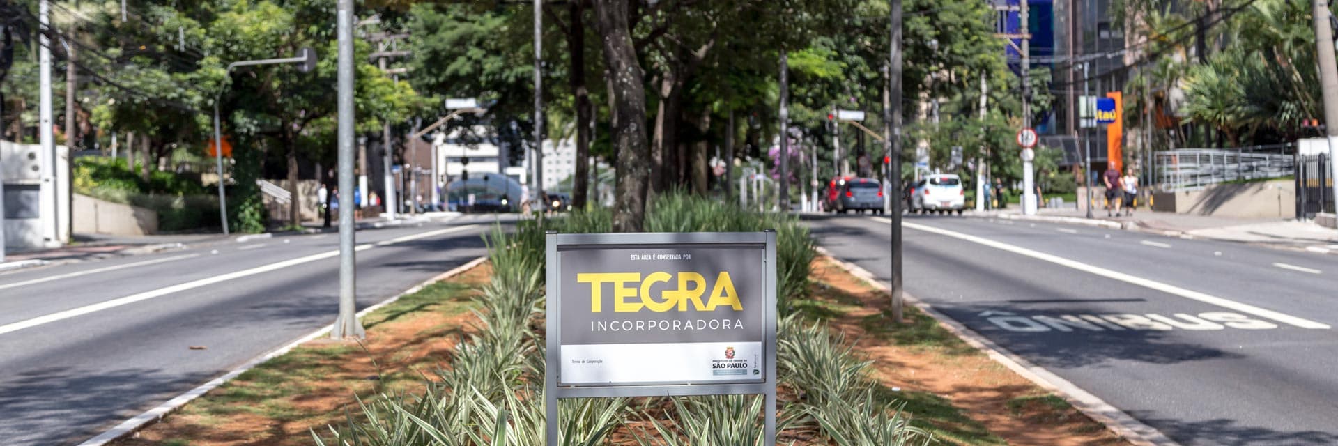Conheça Moema.