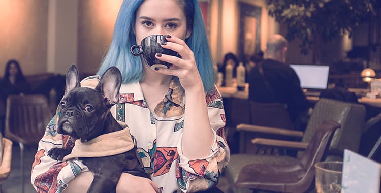 6 Restaurantes pet-friendly que você precisa conhecer