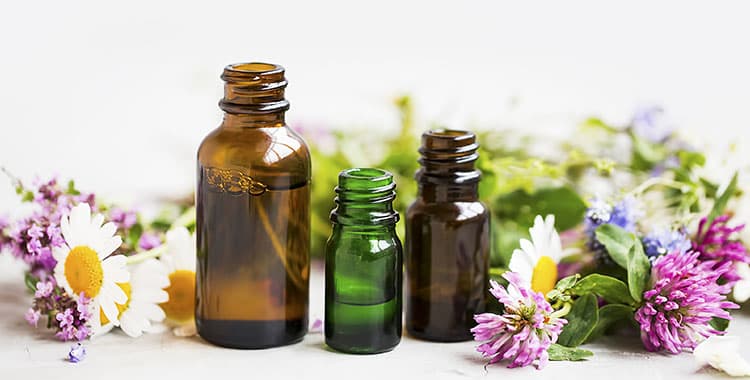 Saiba o que é aromaterapia e os benefícios dos óleos essenciais