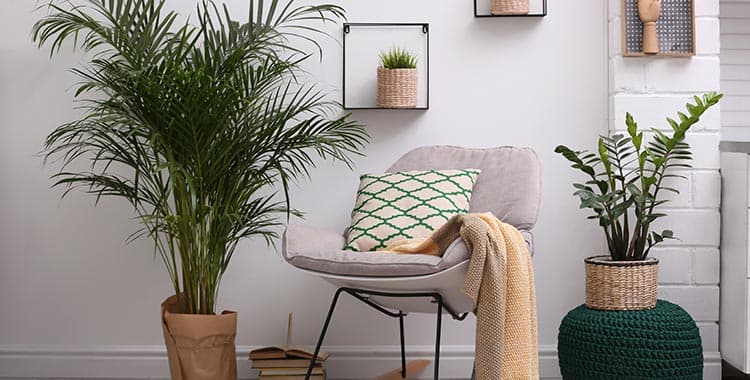 Plantas na decoração: como incluir o verde mesmo sem varanda