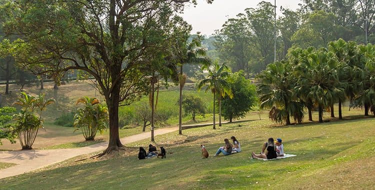 Conheça as 10 melhores praças em SP para um passeio em família