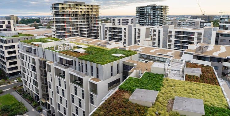 Telhado verde: o que é e quais as vantagens
